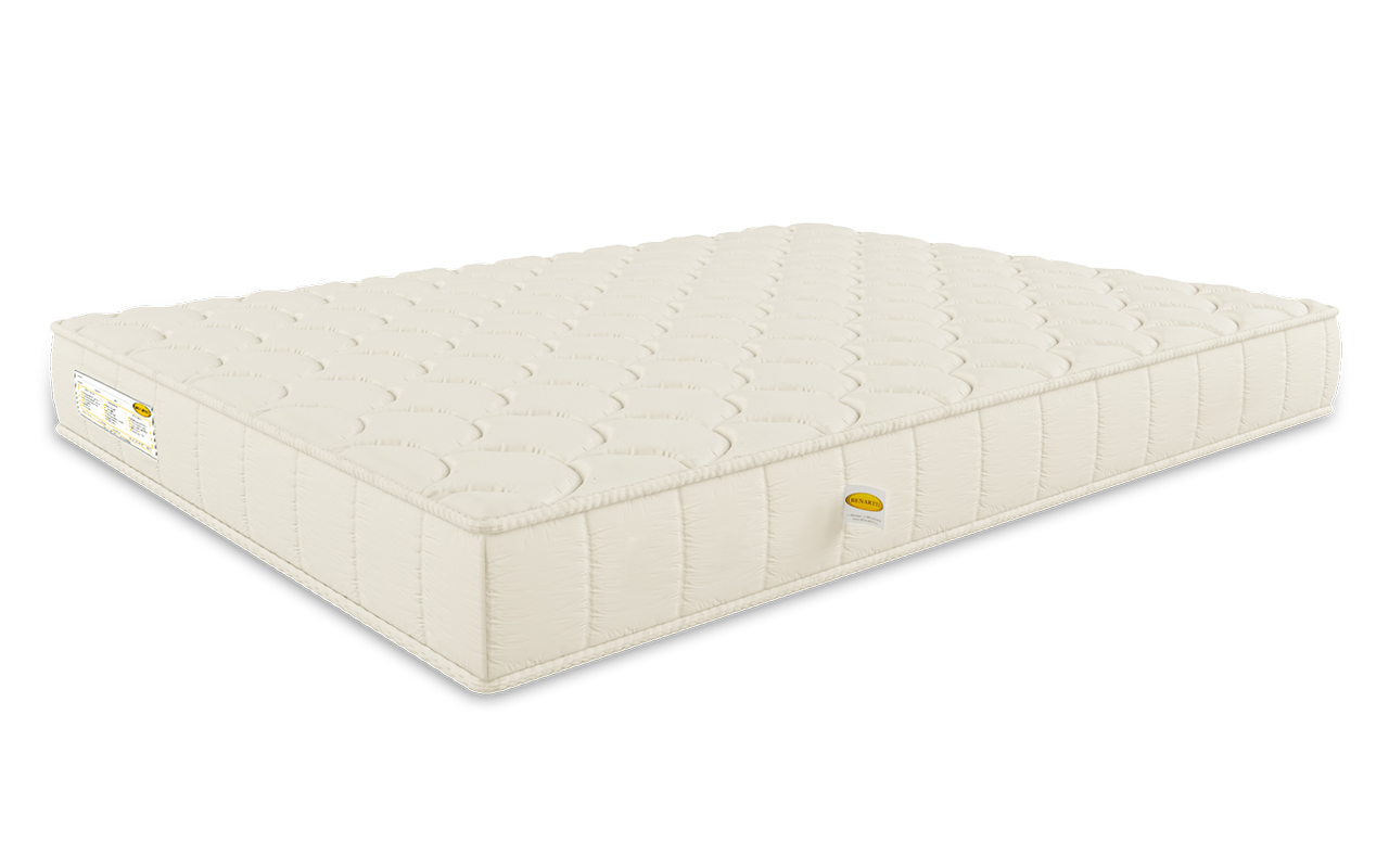 Benartti Roll Mega фото 3